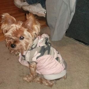 Meet your Posher, Juliette